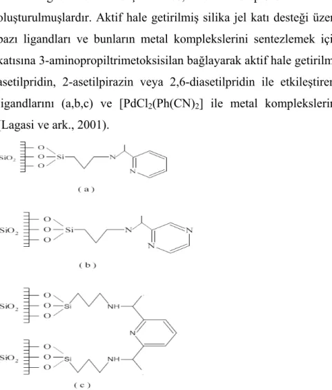 Şekil 1.2.3. Katı destek üzerinde oluşturulan Schiff bazı ligandları 