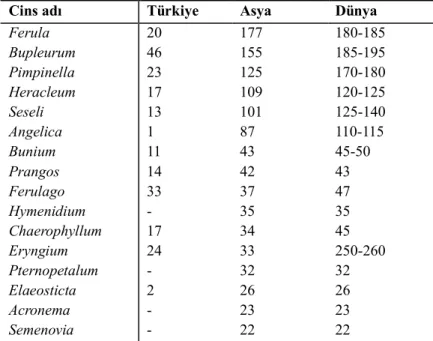 Çizelge  1.1.  Apiaceae  familyasının  Türkiye’de,  Asya  kıtasında  ve  Dünya’da  geniş  yayılış  gösteren  cinslerinin yaklaşık tür sayıları (Çelik, 2013; Pimenov &amp; Leonov, 2004; Güner et al