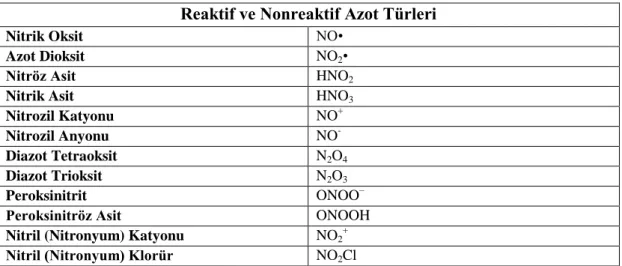 Çizelge 1.2. Reaktif ve nonreaktif azot türleri (Turko ve Murad 2002). 