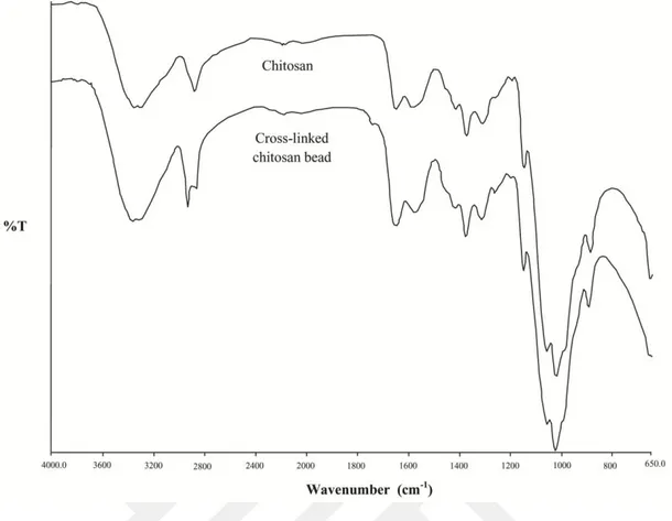 Figure 3.17. FT-IR spectra of chitosan and glutaraldehyde cross-linked chitosan microbeads