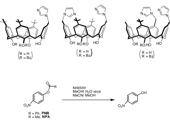 Şekil 1.14. p-konumunda farklı şekillerde imidazol grubu taşıyan kaliks[4]arenler 