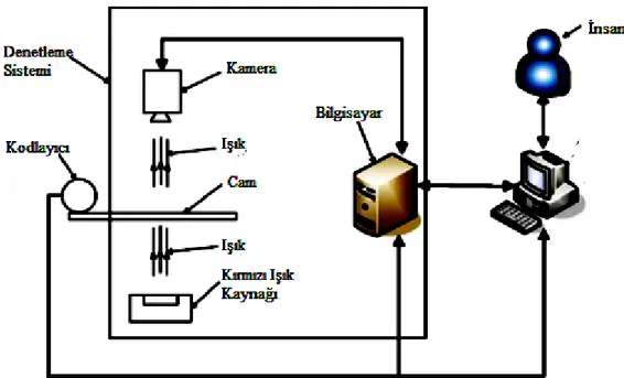 Şekil 2.1. Peng ve ark. tarafından arkadan aydınlatma sistemi ile yapılan bir çalışma(Peng ve ark, 2008) 