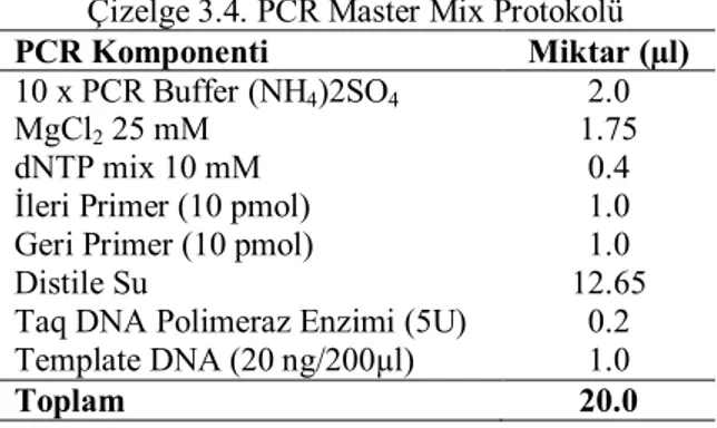 Çizelge 3.4. PCR Master Mix Protokolü