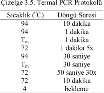Çizelge 3.5. Termal PCR Protokolü  Sıcaklık ( 0 C)  Döngü Süresi  94  10 dakika  94  1 dakika  T m 1 dakika  72  1 dakika 5x  94  30 saniye  T m 30 saniye  72  50 saniye 30x  72  10 dakika  4  bekleme 