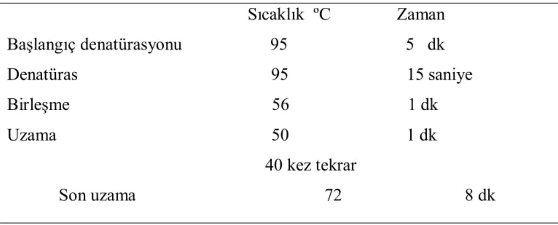 Tablo 3.2: MTHFR gen bölgesinin PZRsi için gerekli sıcaklık ve zaman                                                         Sıcaklık  ºC               Zaman    Başlangıç denatürasyonu                    95                           5   dk  Denatüras      