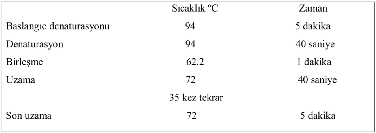 Tablo 3.4: TS gen bölgesinin  PZR’si için gerekli sıcaklık ve zaman 