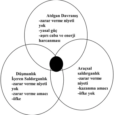 ġekil 1.5. DüĢmanlık içeren saldırganlık, araçsal saldırganlık ve atılganlık davranıĢı  arasında ayırım yapmada güçlükler