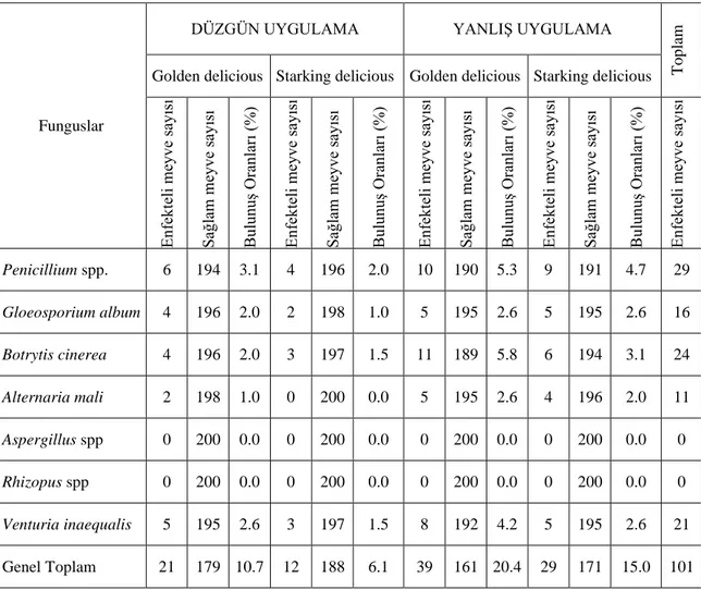 Çizelge 4.5. Hasattan 3 ay sonra (Ocak ayında) tespit edilen etmenler ve bulunuş oranları 