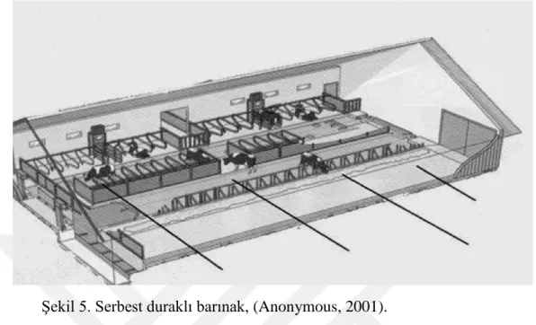 Şekil 5. Serbest duraklı barınak, (Anonymous, 2001). 