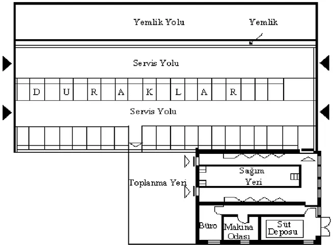 Şekil  7.  Kısmen  açık,  gezinme  yeri  bulunmayan  barınak  taban  planı,  (Anonymous,  2001)