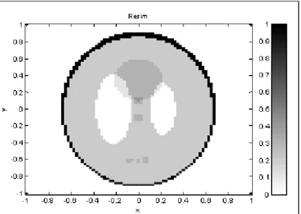 Figure 2. 81x81 pixel Shepp-Logan phantom