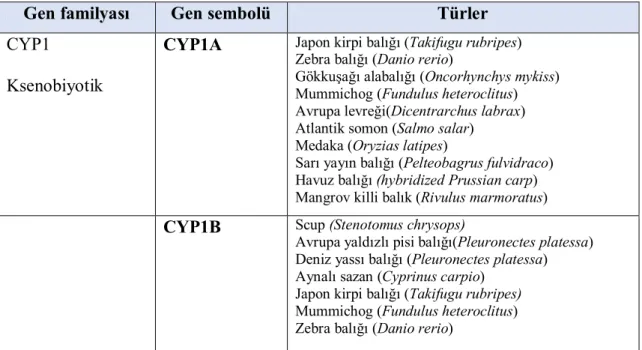 Çizelge 1.2.3.  Balık türlerinde sitokrom P450 izoformları  