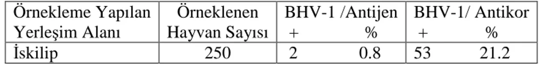 Tablo 4.1. ELISA Antijen ve Antikor Sonuçları 