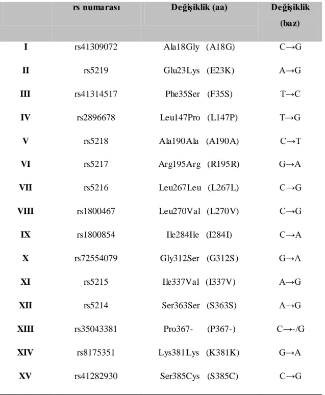 Çizelge 1.2. KCNJ11 geninde yaygın görülen SNP‘lerin listesi 