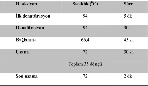 Çizelge 2.3. Gradient PZR Reaksiyon KoĢulları 