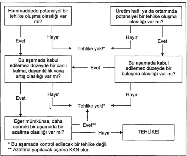 Şekil  2.4.  Tehlikelerin  Belirlenmesinde  Sorulabilecek  Sorular  (van  Schothorst  2004) 