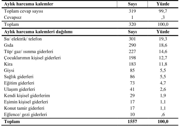Tablo - 26: Aylık Harcama Kalemleri 