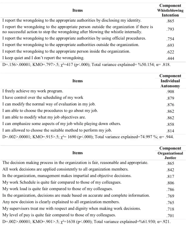 Table 3.1.3.B: Exploratory Factor Analysis Outputs 