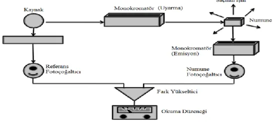 Şekil 1.5.Floresans cihazı 