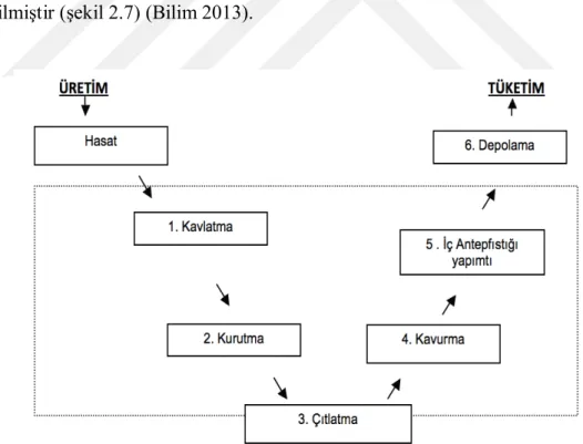 Şekil 2.7. Antepfıstığının işlenme kademeleri 