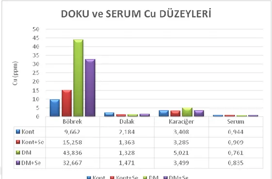 Şekil 3.4. Se uygulaması yapılan kontrol ve STZ- diyabetik ratlarda doku ve   serum Zn (g/g, ppm) düzeyleri