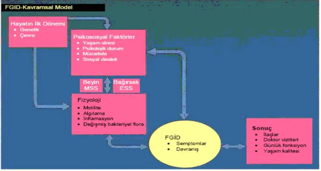 Şekil 1: FGB’ ye etki eden patofizyolojik faktörler ve klinik sonuçları (18) 