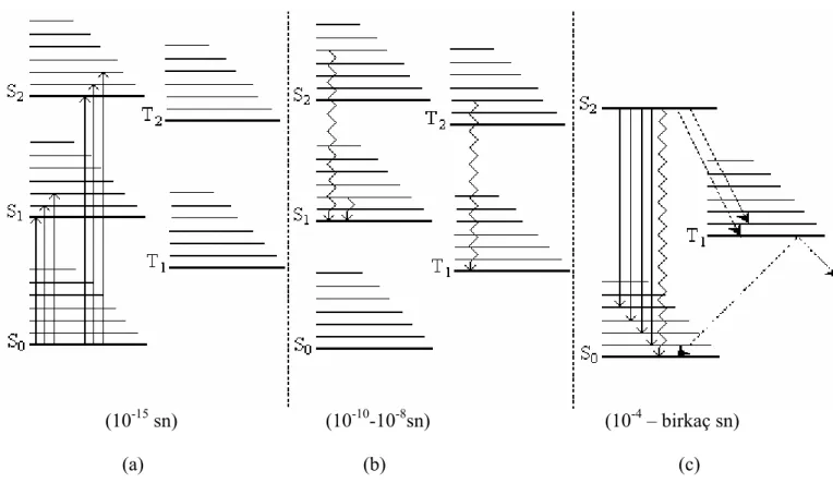 Şekil 2.7. Fosforesans Emisyonunun şematik diyagramı 