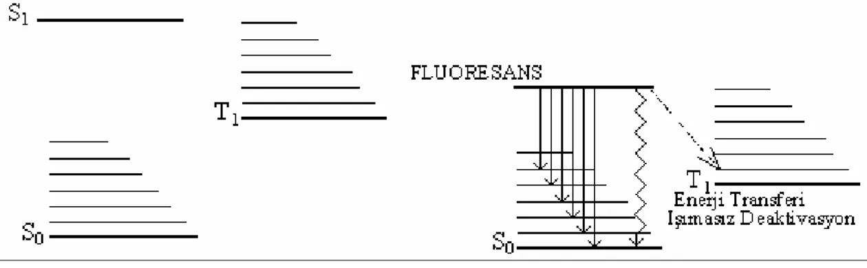 Şekil 2.8 Geciktirilmiş fluoresansın şematik diyagramı 