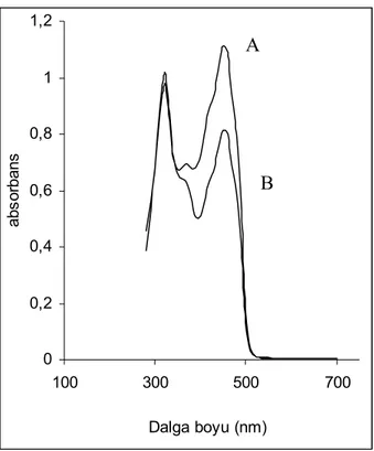 Şekil 6.2 NANAL-Cu kompleksi ve aynı şartlarda (blank) NANAL’ın absorpsiyon  spektrumu (pH=5, [NANAL]:1×10 -4 M, [Cu]:1×10 -5 M, %40 DMF- %60 su, 