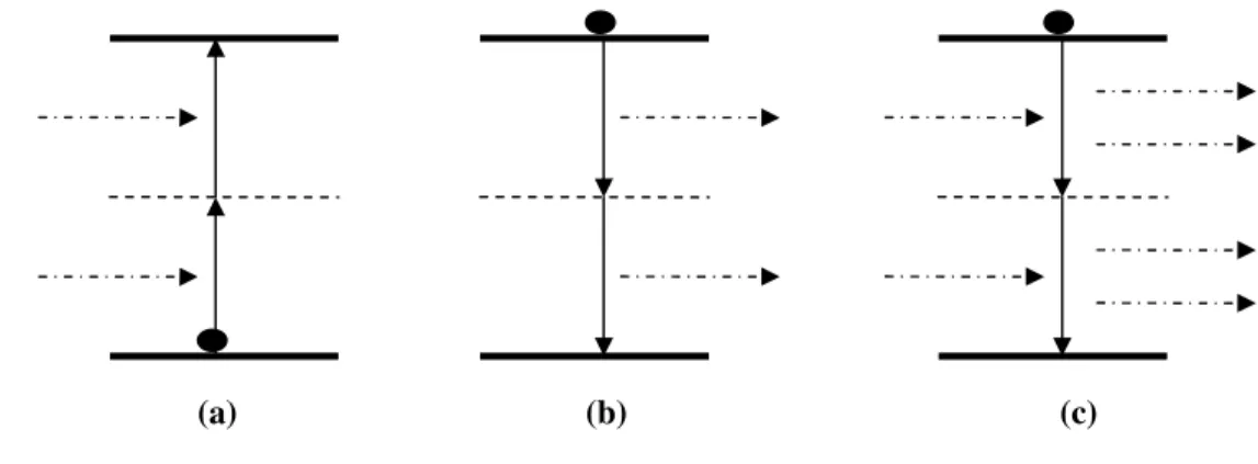 Şekil  3.2:  Üç  temel  iki-foton  süreci  (a)  iki-foton  soğurma,  (b)  kendiliğinden  iki-foton  yayma,  (c)  etkilemeli  iki-foton  yayma