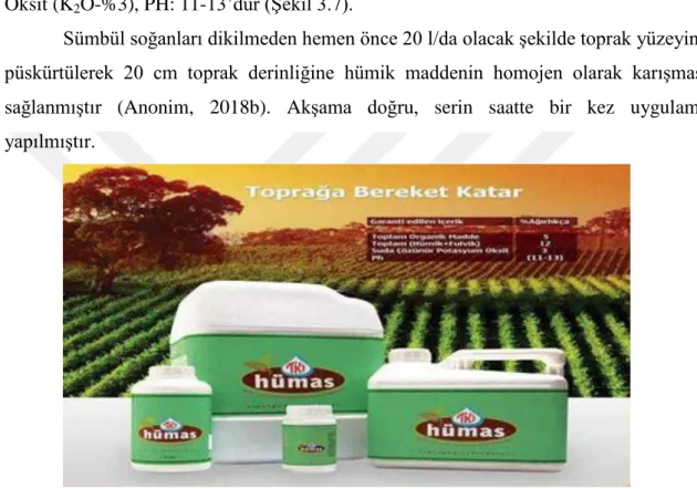 Şekil 3.7. Hümas uygulanmış 