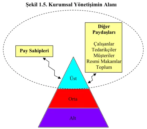 Şekil 1.5. Kurumsal Yönetişimin Alanı 