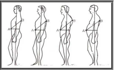 Şekil 11. Vücut Duruşları (Aktaran: Sezer 2006: 30). 