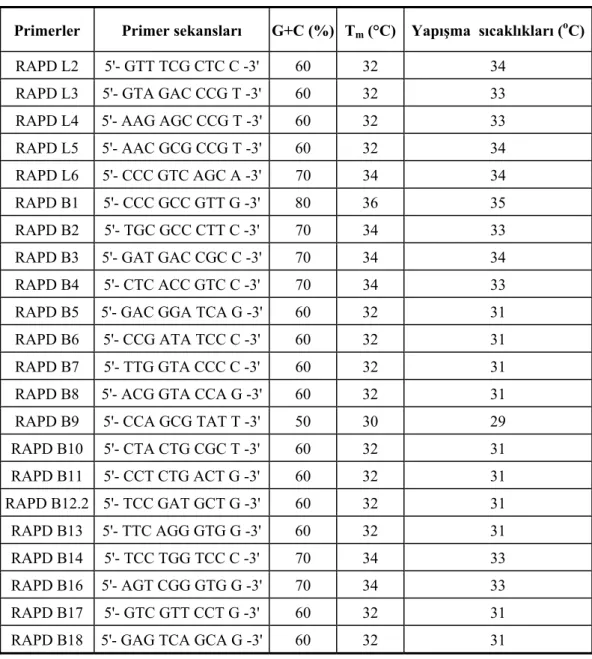 Çizelge 3.4 Çalışmada kullanılan primerler, primer sekansları, G+C (%)  oranları ile          T m  ve yapışma sıcaklıkları (melting ve annealing temperature, °C)  