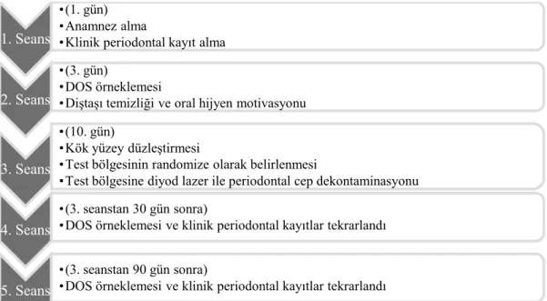 Şekil 2.1 Tedavi protokolü. 