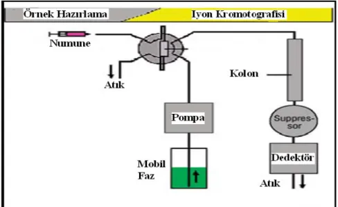 Şekil 2.1 İyon Kromatografisinin Şematik Gösterimi 