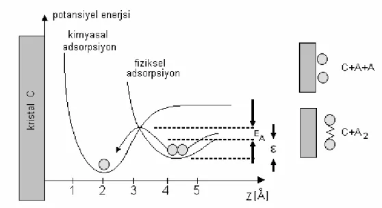 Şekil 3.1: E A  aktivasyon enerjisi ile bir yüzey üzerinde A 2  molekülünün ayrışmalı     adsorpsiyonu