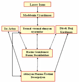 Şekil 3.9: Lazer ablasyonda muhtemel süreçler. 