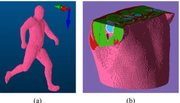 Figure 2. 3-D voxel models used for performance analysis (a) the whole-body model    (b) truncated chest model