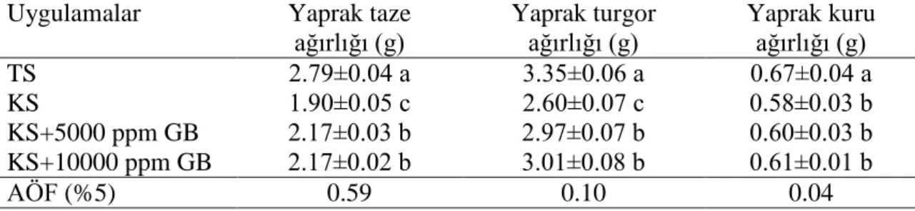 Çizelge 4.1. Uygulamaların yaprak taze ağırlığı (g), yaprak turgor ağırlığı (g), yaprak kuru ağırlığı (g)  üzerine etkileri 