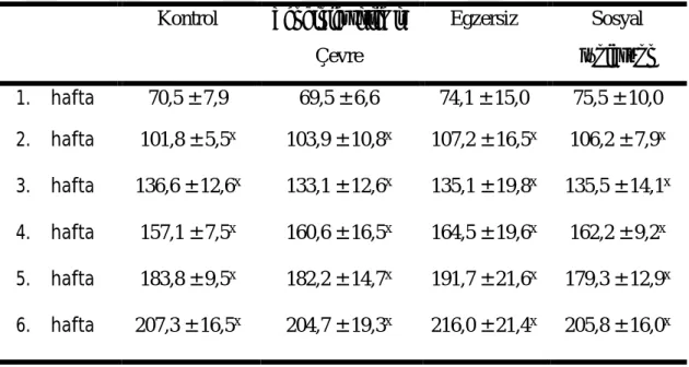 Çizelge 3.1. Grupların Vücut Ağırlıkları (gr) (ort ± SS)  Kontrol  Zenginleştirilmiş  Çevre  Egzersiz  Sosyal  İzolasyon  1