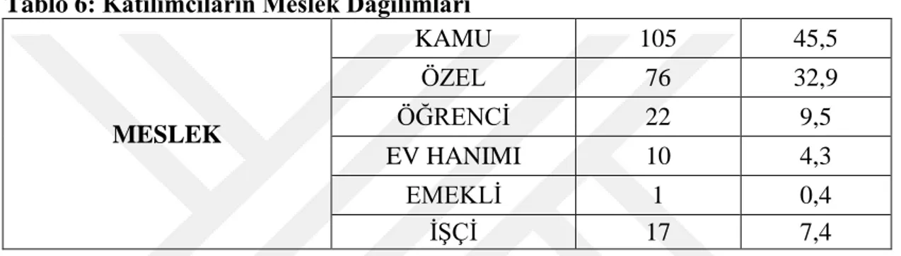 Tablo 6: Katılımcıların Meslek Dağılımları 