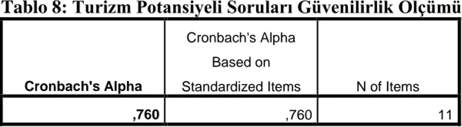 Tablo 8: Turizm Potansiyeli Soruları Güvenilirlik Ölçümü 
