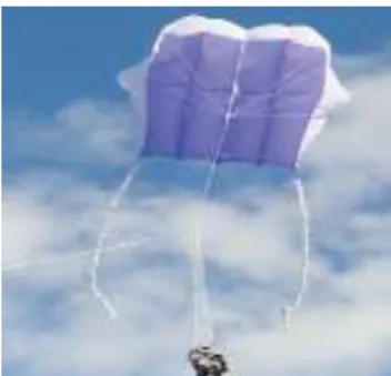 Figure 1. Remote controlled rig and camera   used for the acquisition of aerial imagery (Smith  et al., 2009)