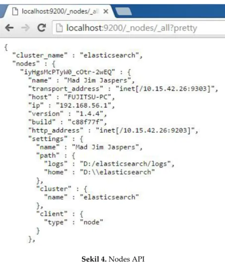 Şekil 4. Nodes API  Figure 4.  Nodes API 