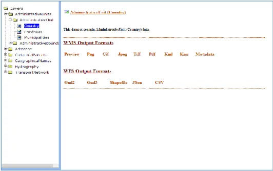 Figure 5. Download Service web interface 