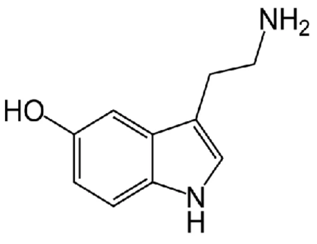 Şekil 1.5. Serotonin moleküler yapısı 