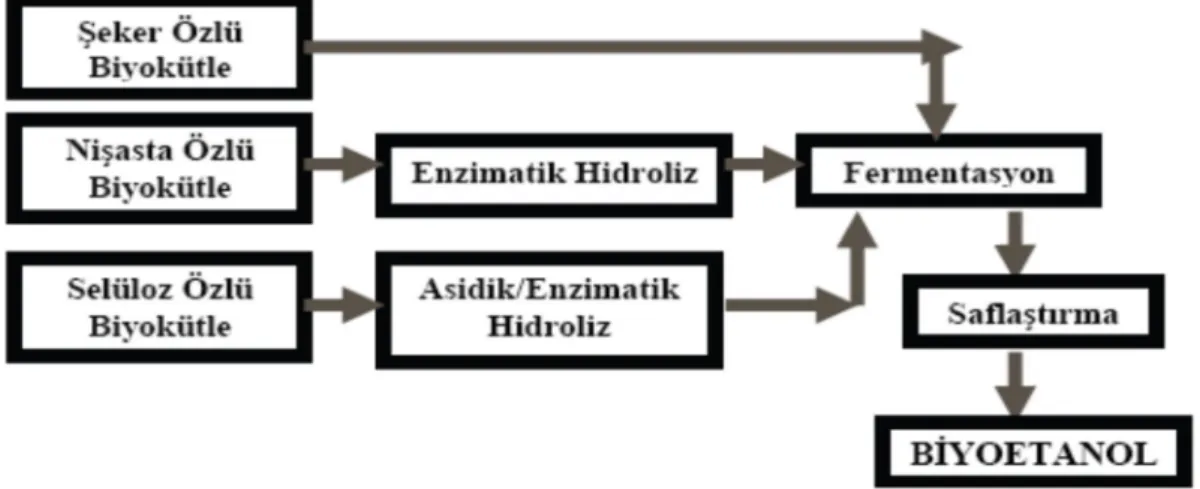 Şekil 1.3. Biyoetanol proses akım şeması 