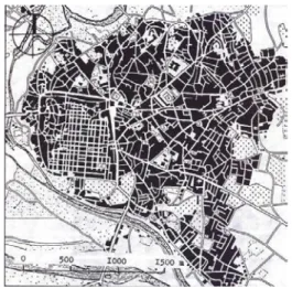 Figure 1. Edirne, at the end of 19  th  cent.  ( Selami.M.). 