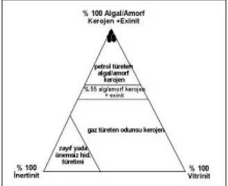 Şekil 6. Maseral grup bileşimi ve hidrokarbon  türüm potansiyeli üçgen diyagramõ. 
